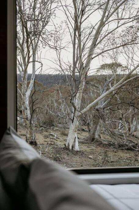 Big Yard Escapes - Two Off-Grid Tiny Houses On The Mowamba River จินดาไบน์ ภายนอก รูปภาพ
