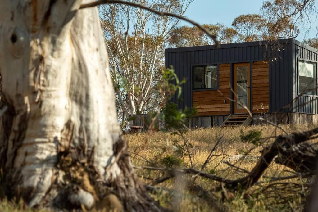 Big Yard Escapes - Two Off-Grid Tiny Houses On The Mowamba River จินดาไบน์ ภายนอก รูปภาพ